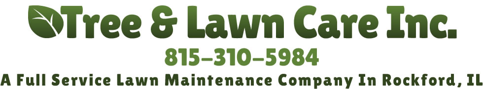 Tree Lawn Care Co.